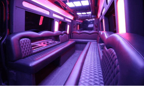 Irving 14 Passenger Sprinter Bus Interior